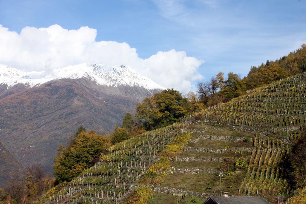 La Madonnina Apartment Villa di Tirano Стая снимка